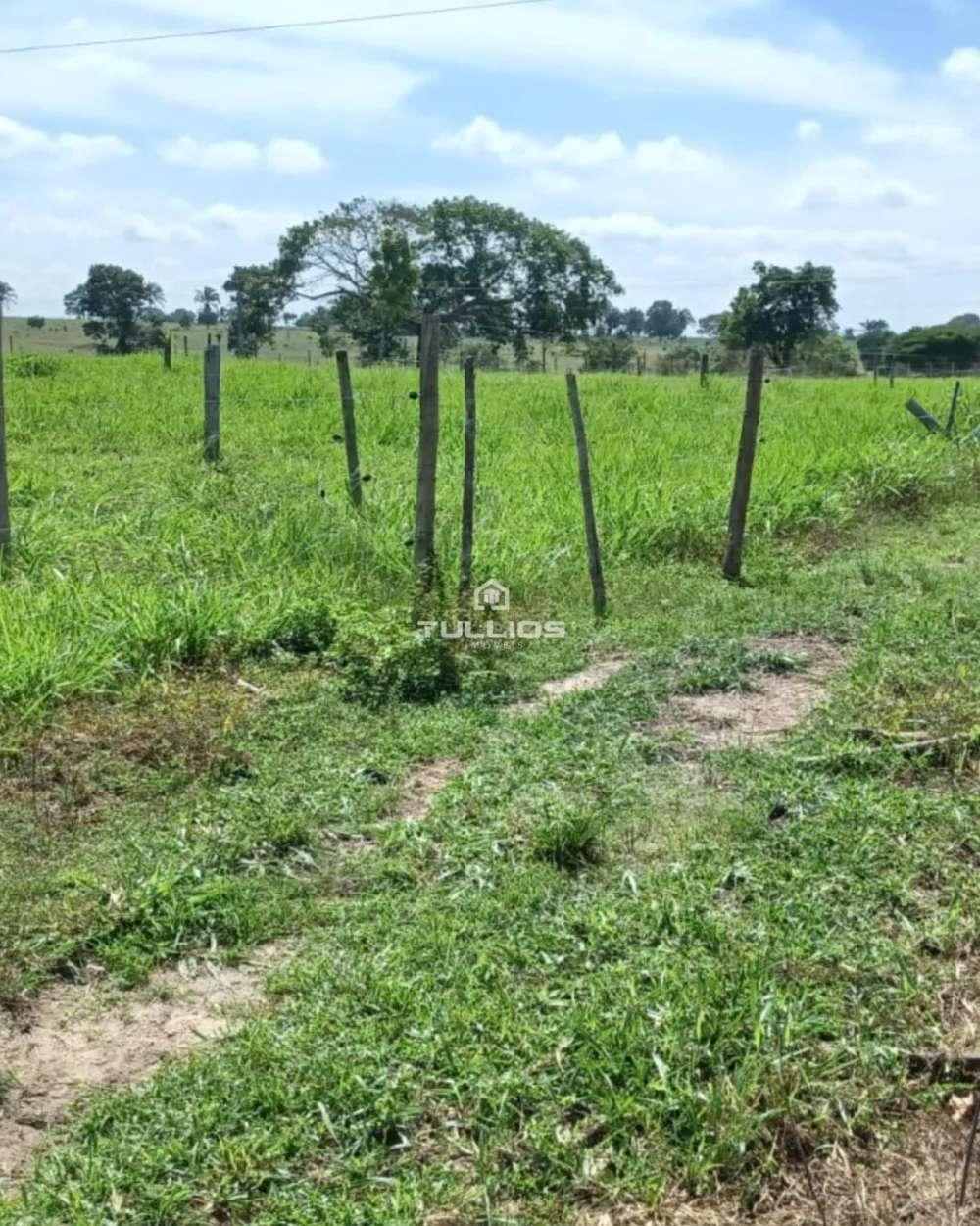 VENDE-SE | FAZENDA 🌿