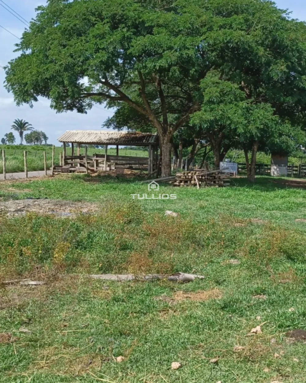 VENDE-SE | FAZENDA 🌿