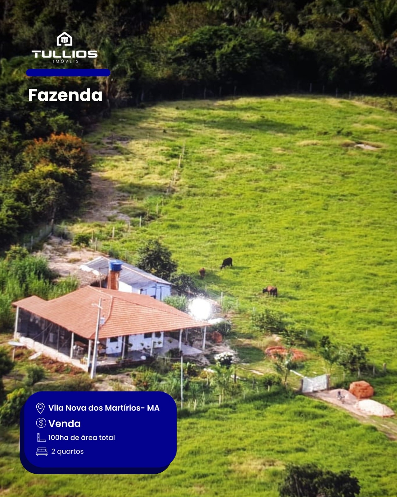 VENDE-SE | FAZENDA 🌿