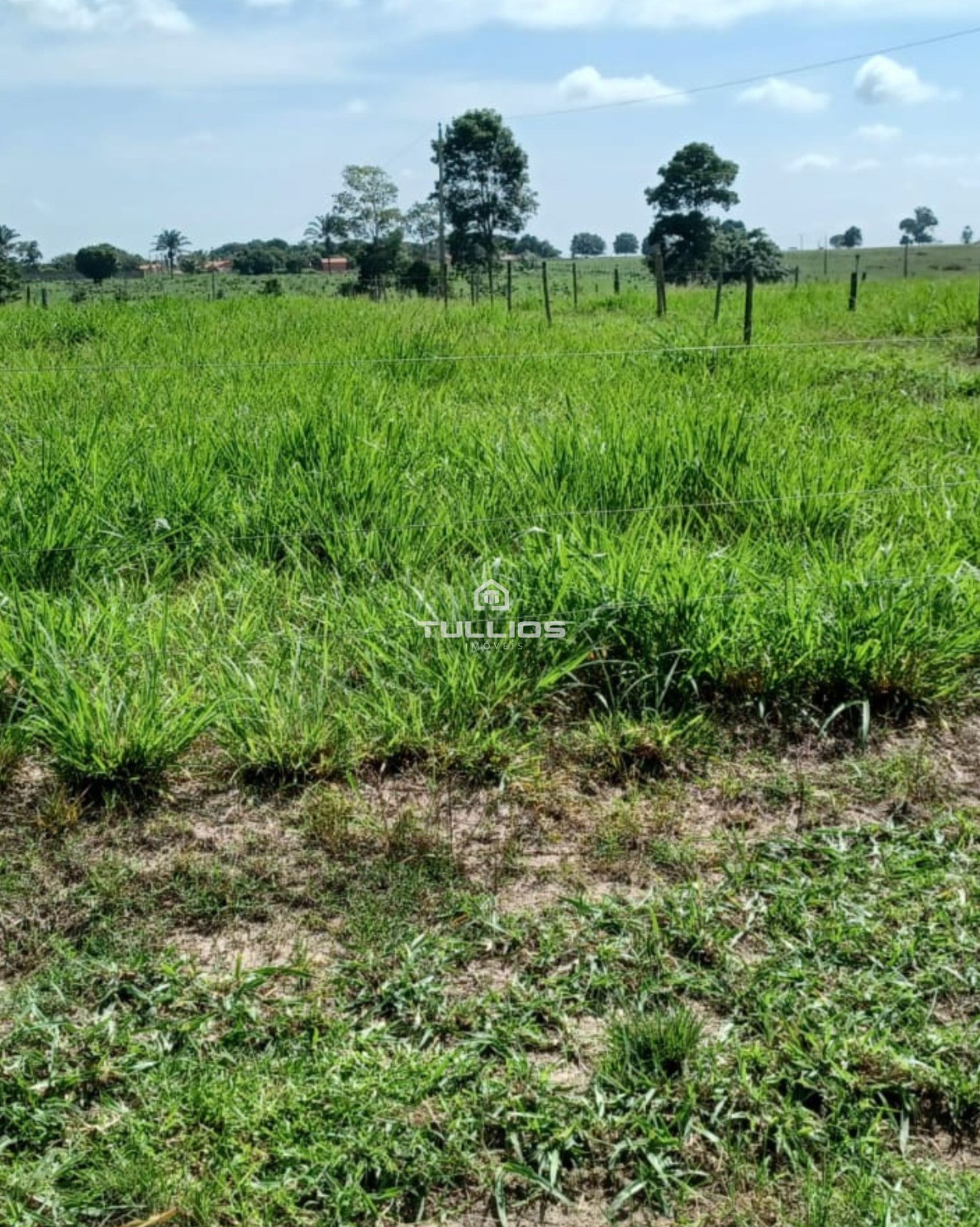 VENDE-SE | FAZENDA 🌿