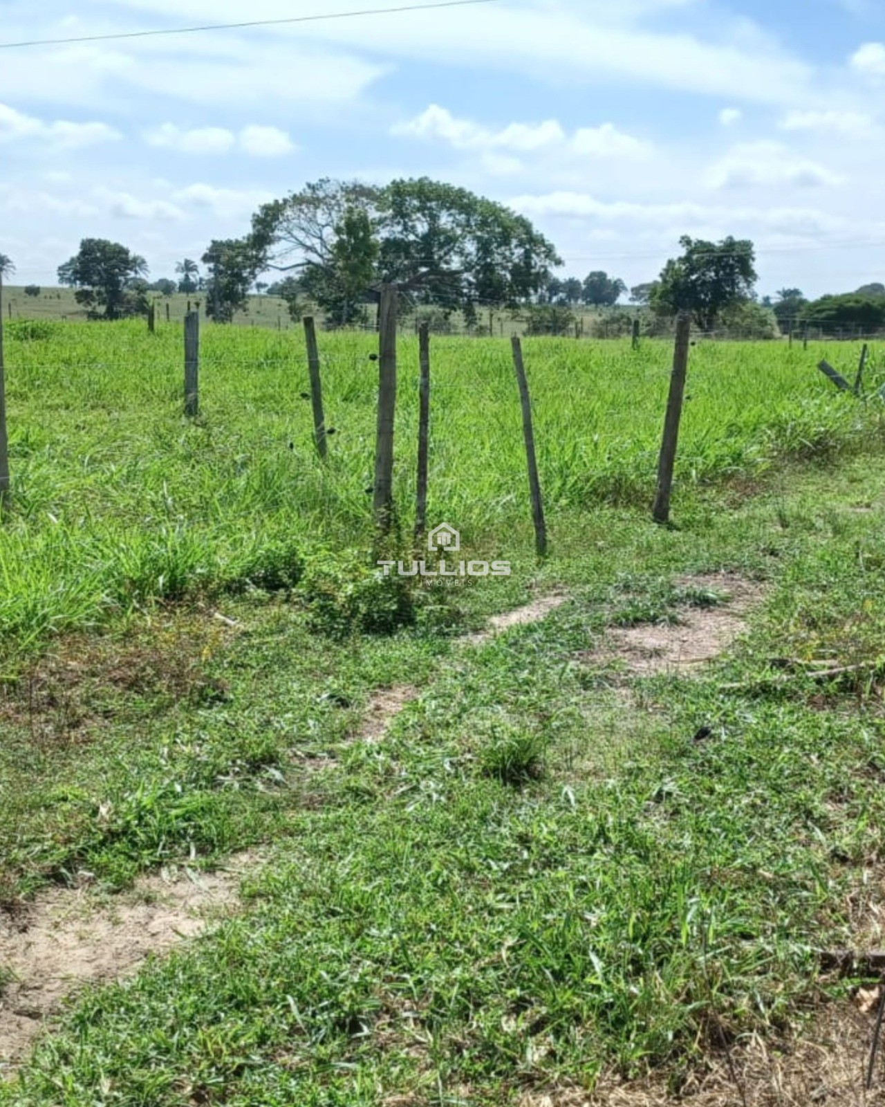 VENDE-SE | FAZENDA 🌿