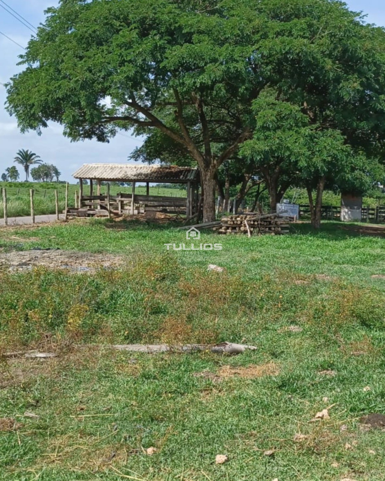 VENDE-SE | FAZENDA 🌿