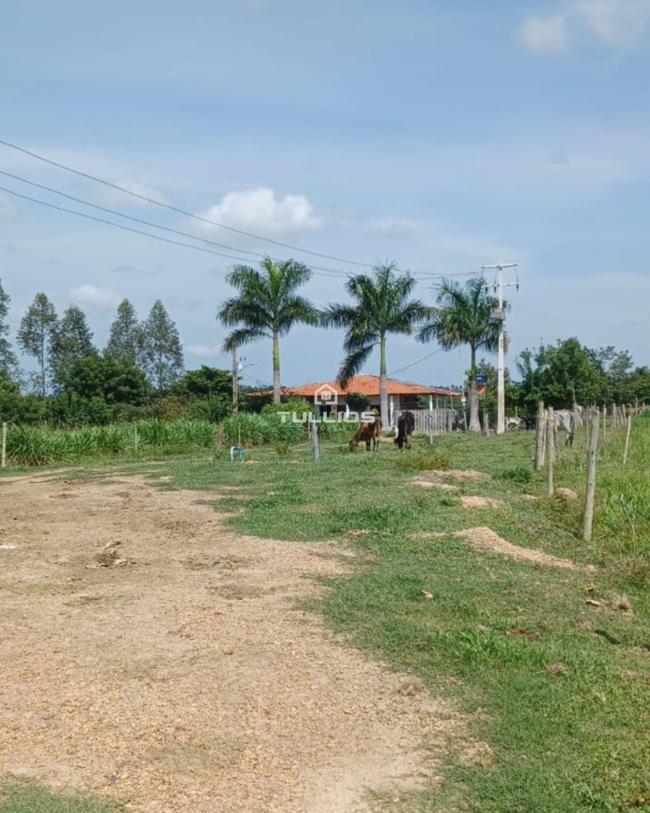 VENDE-SE | FAZENDA 🌿